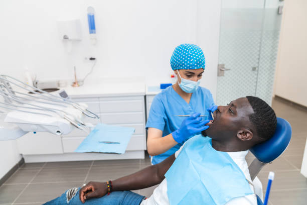 Best Emergency X-Rays and Diagnostics in New Baltimore, VA